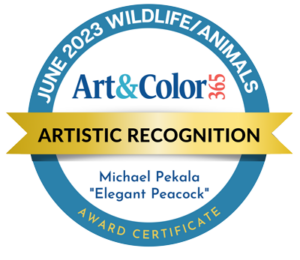 Art and Color 365 Award badge