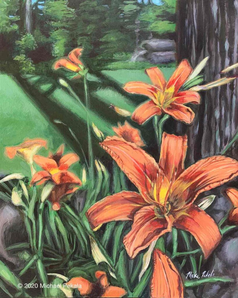 Day Lily