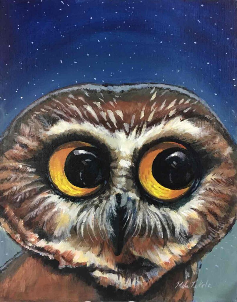 The Night Owl