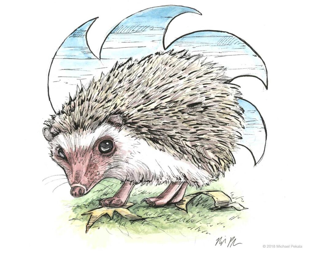 The Hedgehog