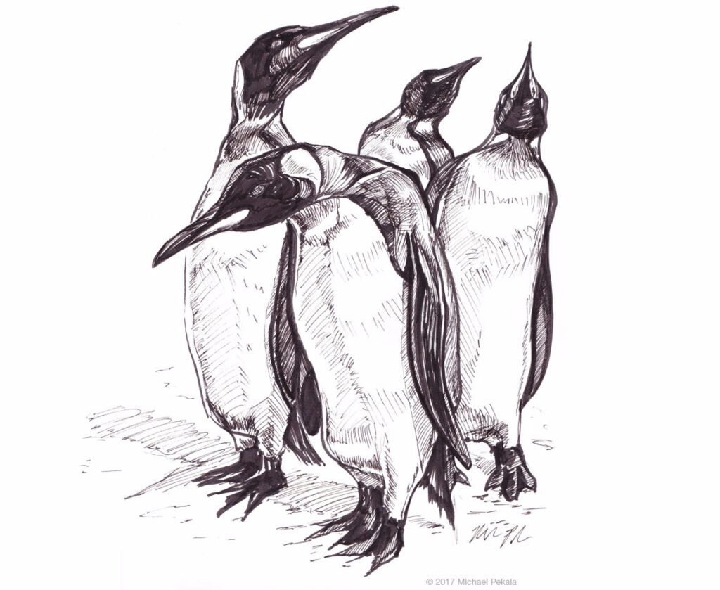 The Penguins