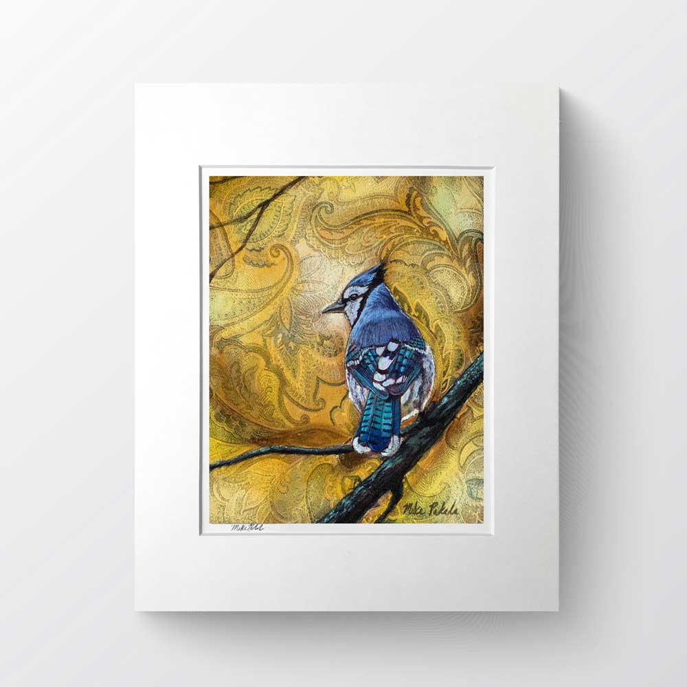 Matted Blue Jay