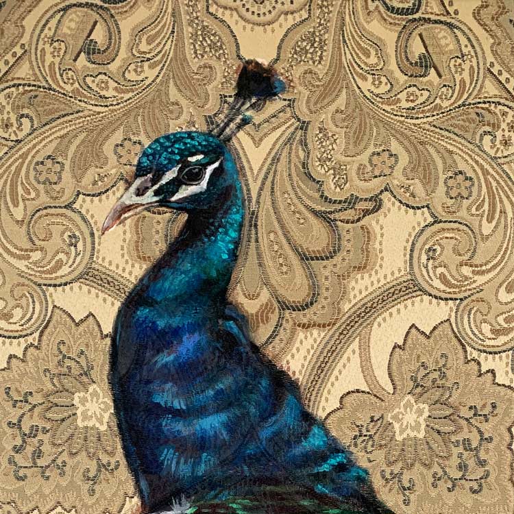 Elegant peacock thumbnail