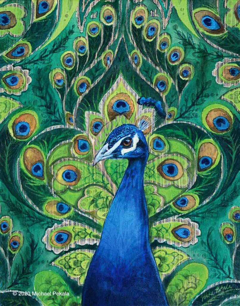 The Peacock