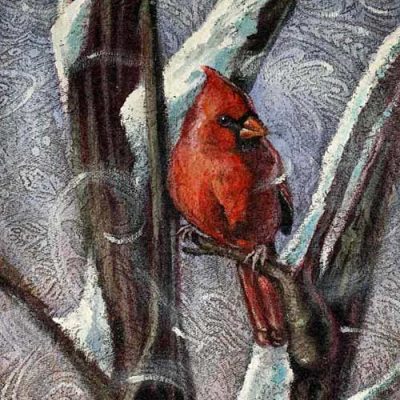 Winter Cardinal
