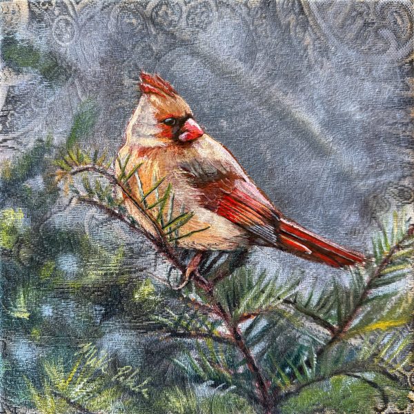 Female cardinal Painting