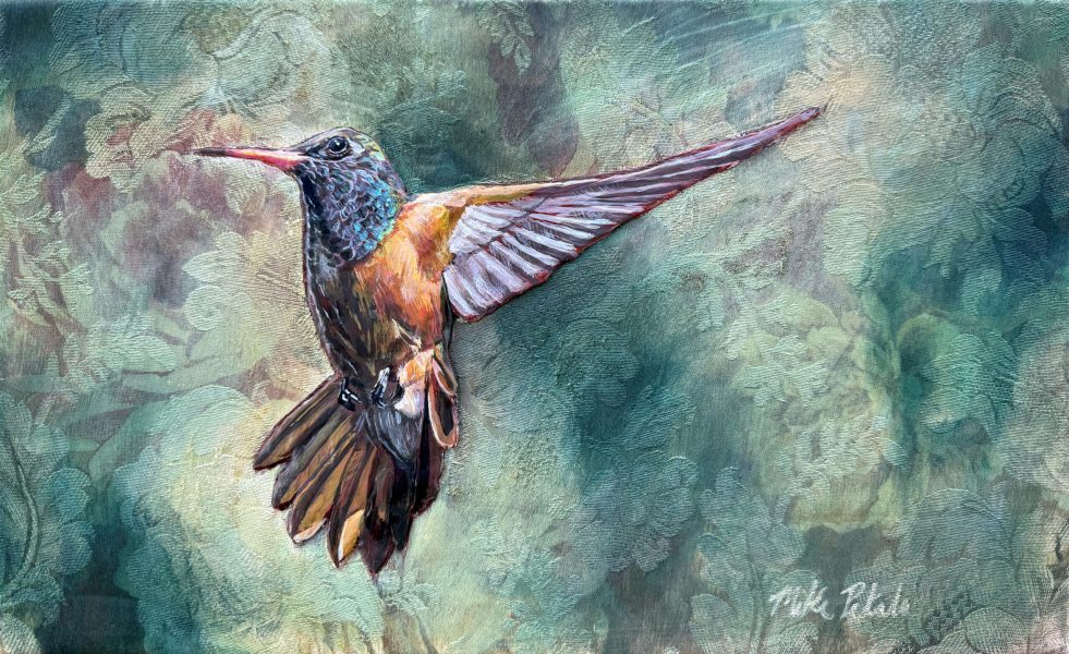 hummingbird_15_2000px_2