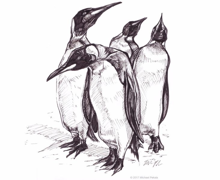 The Penguins