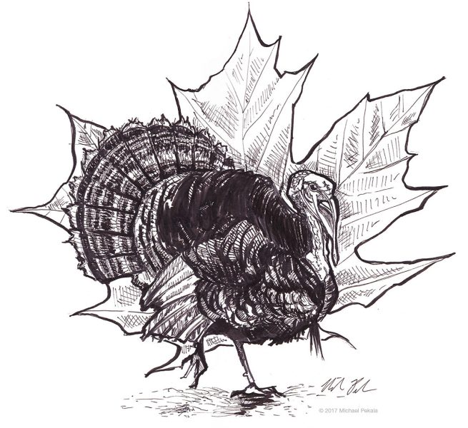 The Turkey