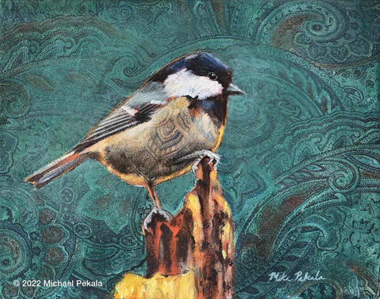 Chickadee