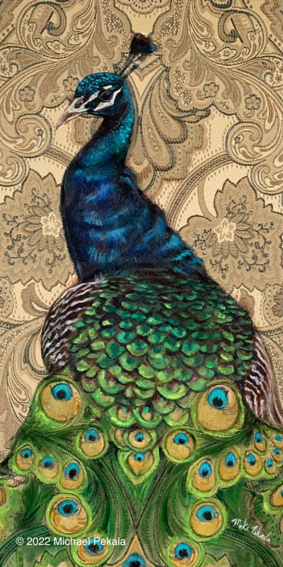 The Elegant Peacock