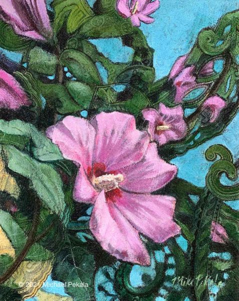 Rose of Sharon