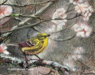 Pine Warbler Painting