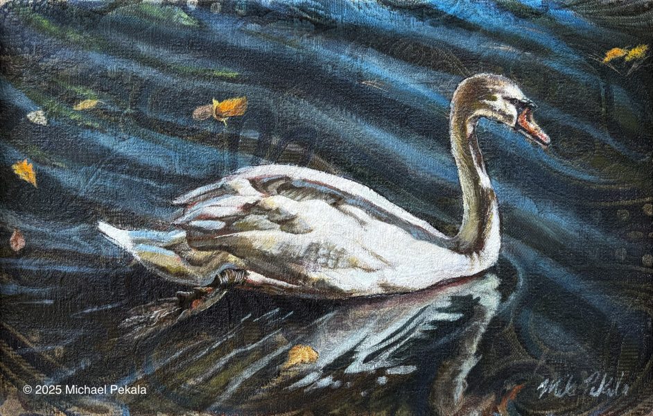 Swan Painting